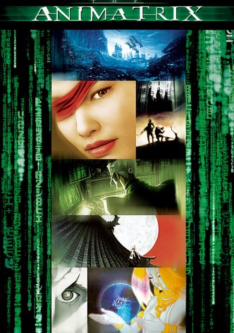 The Animatrix