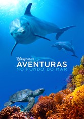 O Recife do Golfinho