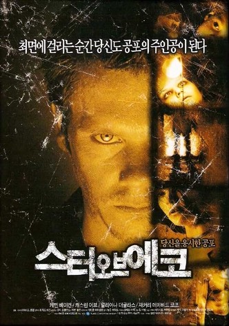 스터 오브 에코