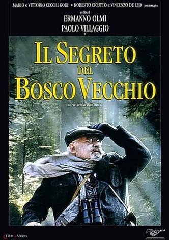 Il segreto del bosco vecchio