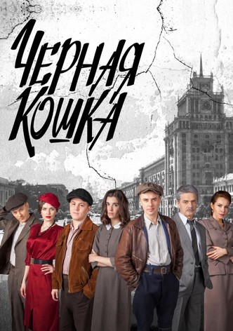 Чёрная кошка