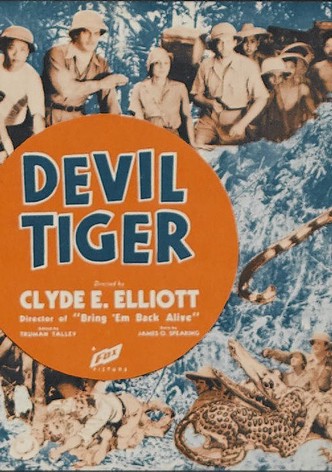 The Devil Tiger