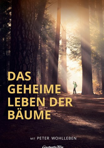 Das geheime Leben der Bäume