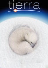 Tierra
