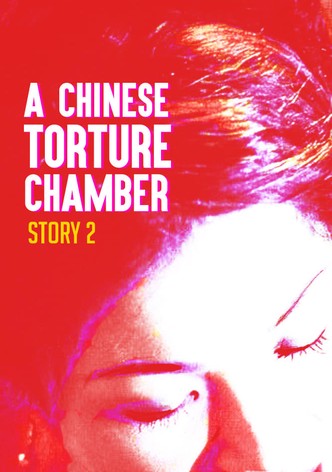 A Chinese Torture Chamber Story II