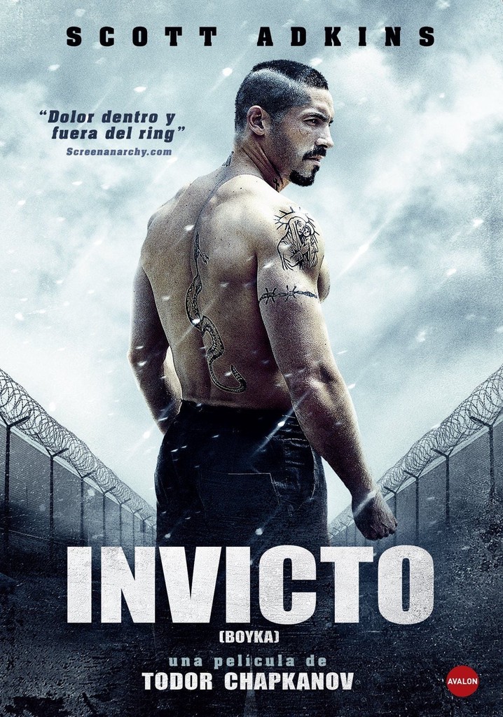 Boyka Invicto IV película Ver online