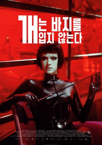 개는 바지를 입지 않는다