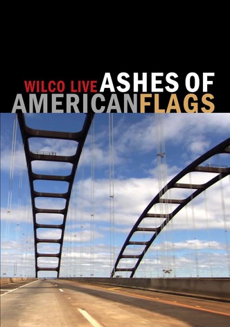 Wilco: Ashes of American Flags