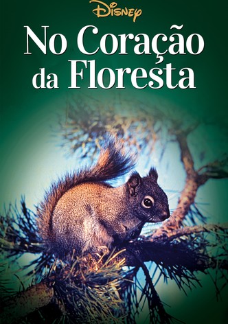 No Coração da Floresta