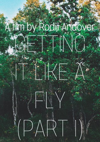 Getting it Like a Fly (Part 1)