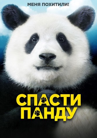 Спасти панду