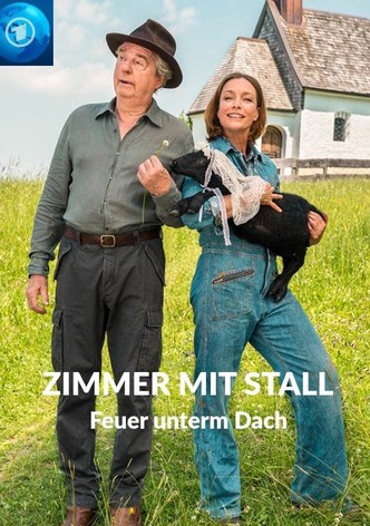 Zimmer mit Stall - Feuer unterm Dach