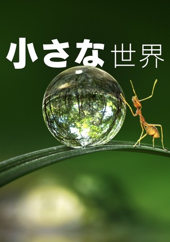 小さな世界