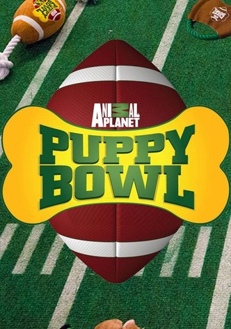 Puppy Bowl - Koiranpennut kilpasilla