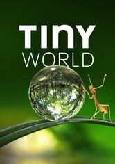 Tiny World - Staffel 1