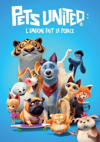 Pets United : L'union fait la force