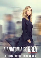 Anatomia de Grey