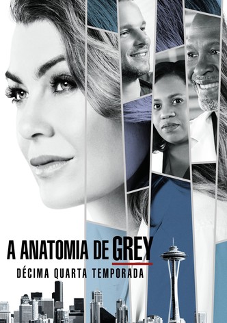 COMO ASSISTIR GREY'S ANATOMY DUBLADO TEMPORADAS (7 Dias TESTE) en 2023