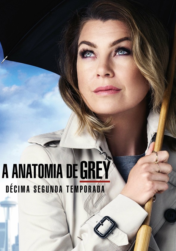Anatomia De Grey Temporada 12 Online