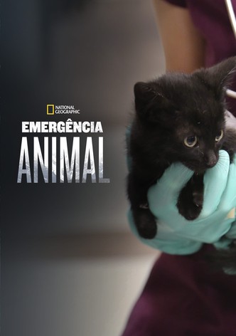 Rocky Mountain Animal Rescue