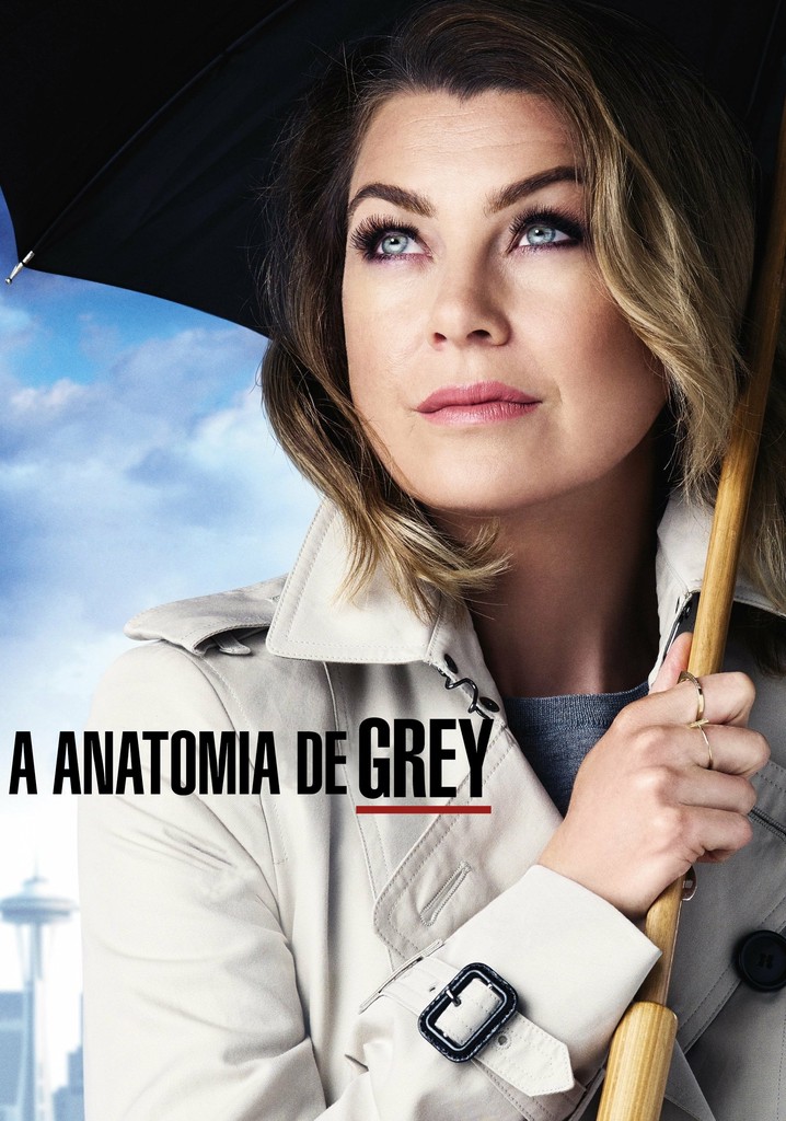 Assistir Anatomia De Grey Ver Series Online