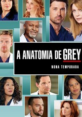 Anatomia de Grey