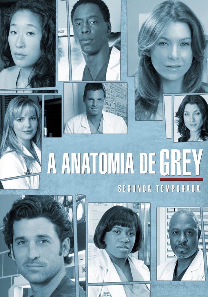 Anatomia De Grey Temporada 2 Assista Episódios Online Streaming