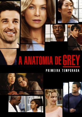 Assistir Anatomia De Grey Ver Series Online