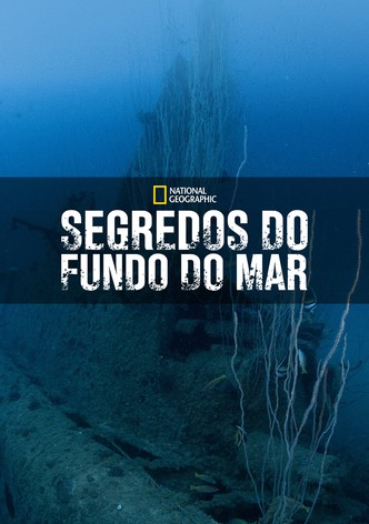 Segredos do Fundo do Mar - Mergulho no Escuro