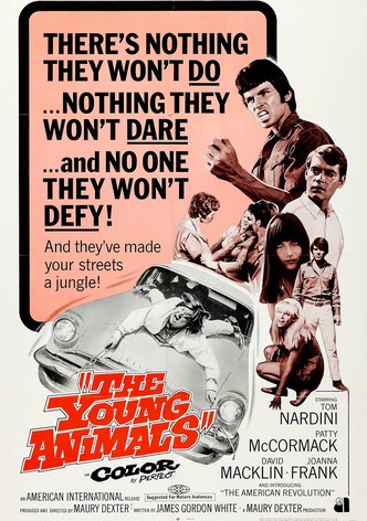 The Young Animals