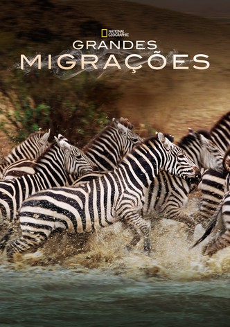 Great Migrations