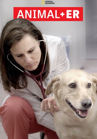 Animal ER