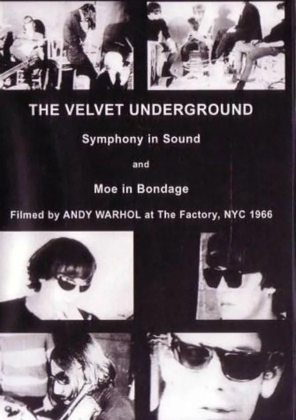 The Velvet Underground and Nico streaming online