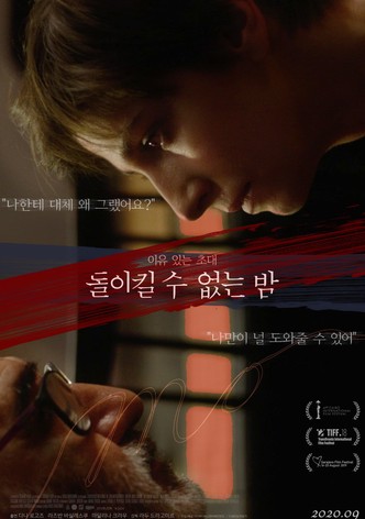 돌이킬 수 없는 밤