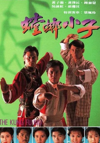 The Kung Fu Kid