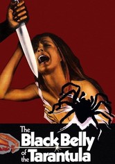 O Ventre Negro da Tarântula