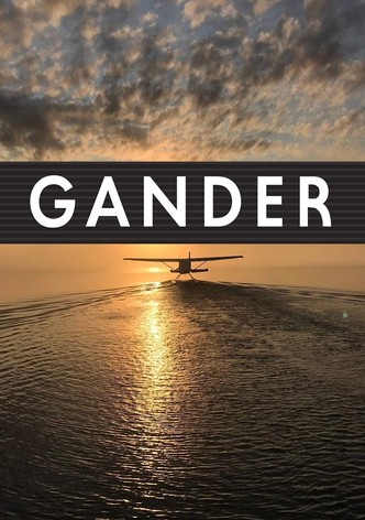 Gander International: The Airport in the Middle of Nowhere