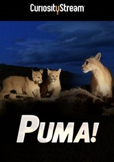 Puma!