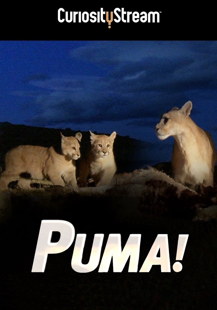 Puma!