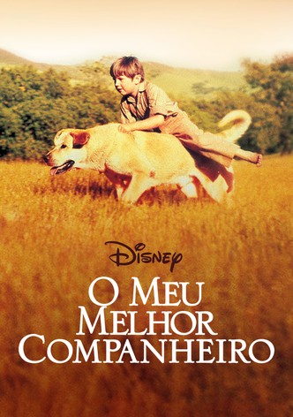 Meu Melhor Companheiro