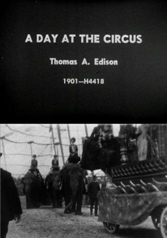 Day at the Circus