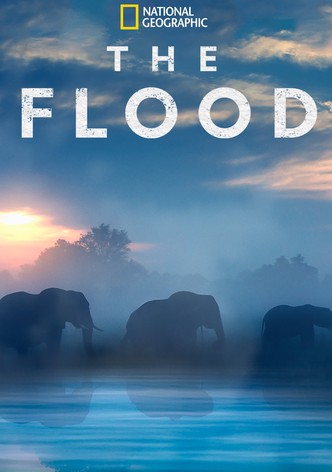 The Flood