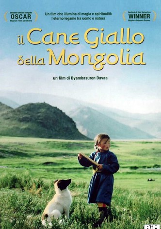 Il cane giallo della Mongolia