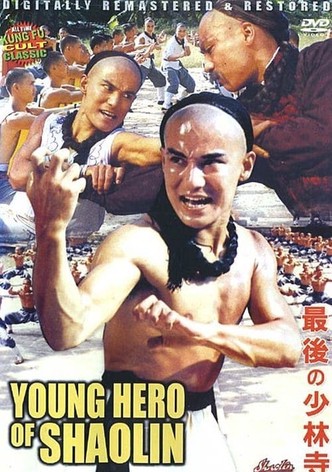 The Young Hero of Shaolin