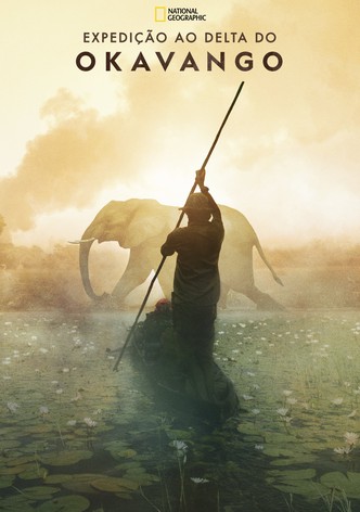 Expedição ao Delta do Okavango