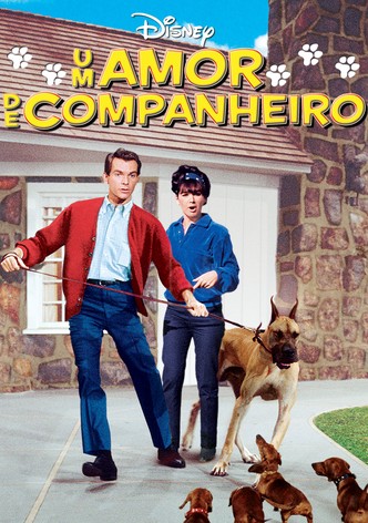 Um Bastardo na Alta Roda