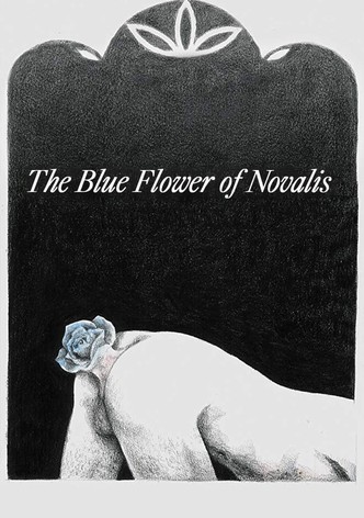 The Blue Flower of Novalis