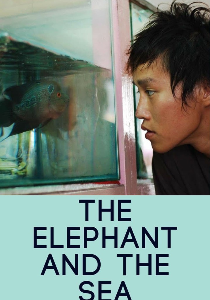 The Elephant and the Sea