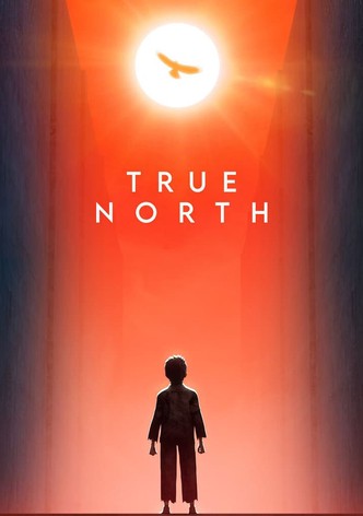 True North