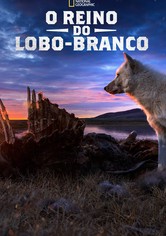 O Reino do Lobo-Branco